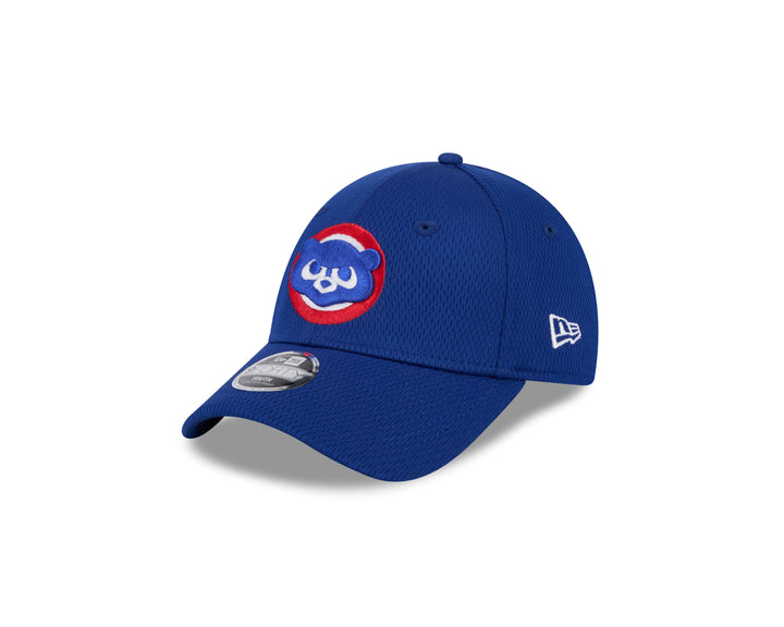 Chicago Cubs New Era Youth 1984 Bear 9FORTY Mesh Cap Caps NEW ERA CAP COMPANY INC