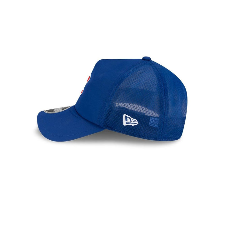 Chicago Cubs 2026 BP 9FORTY Adjustable Cap by New Era Caps New Era