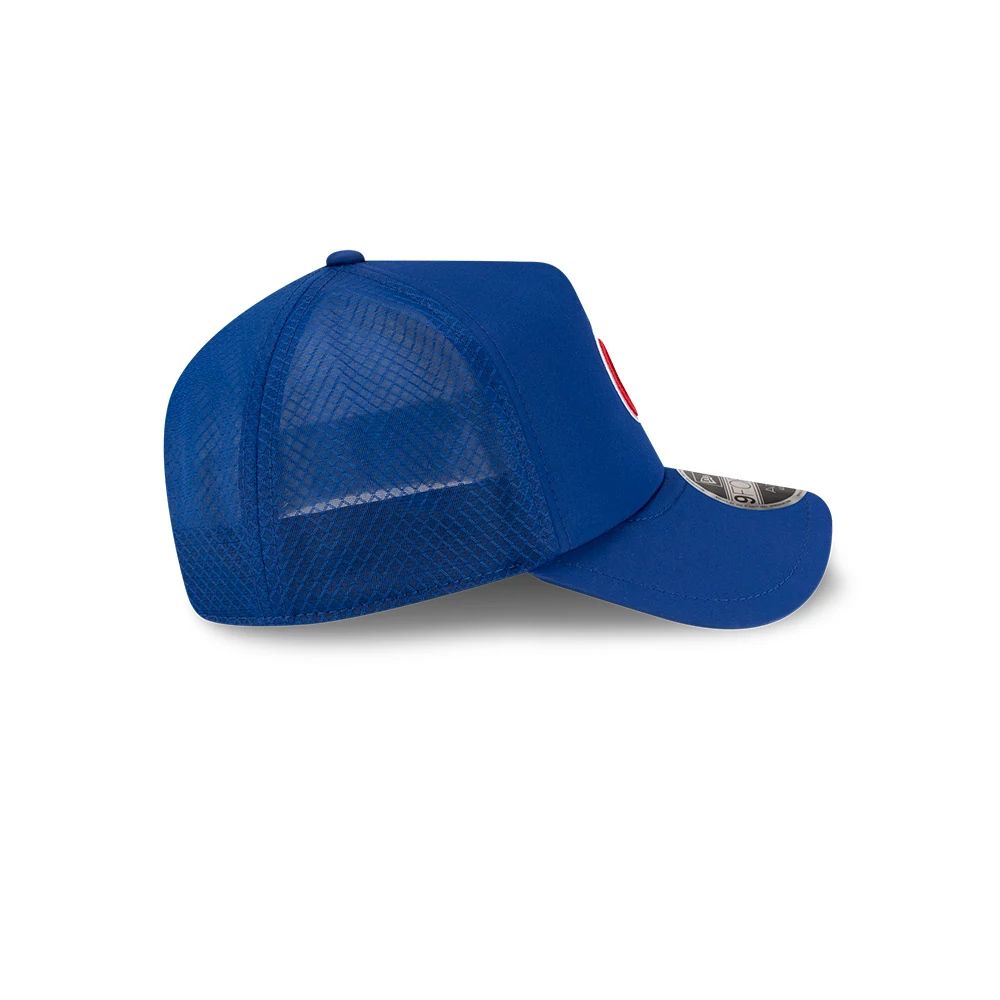 Chicago Cubs 2026 BP 9FORTY Adjustable Cap by New Era Caps New Era