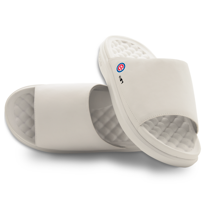 Chicago Cubs Minimalistic Motive Slides by ISlide Slides UNASSIGNED