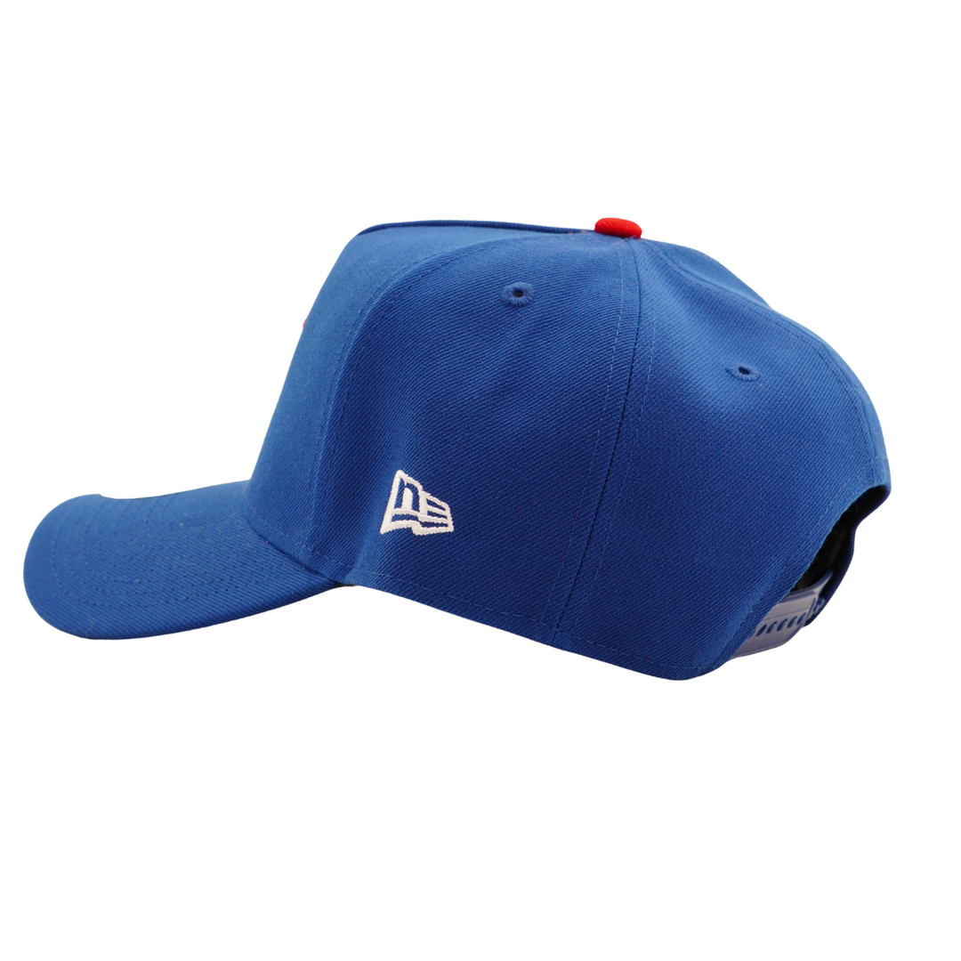Chicago Cubs 2016 World Series 10th Anniversary Patch 9FORTY A-Frame Cap by New Era