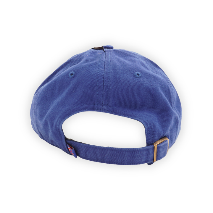 CHICAGO CUBS &