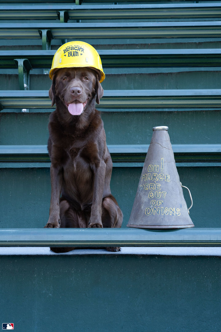 The Bleacher Bum, Wrigley Field™, Chicago Photography Gray Malin